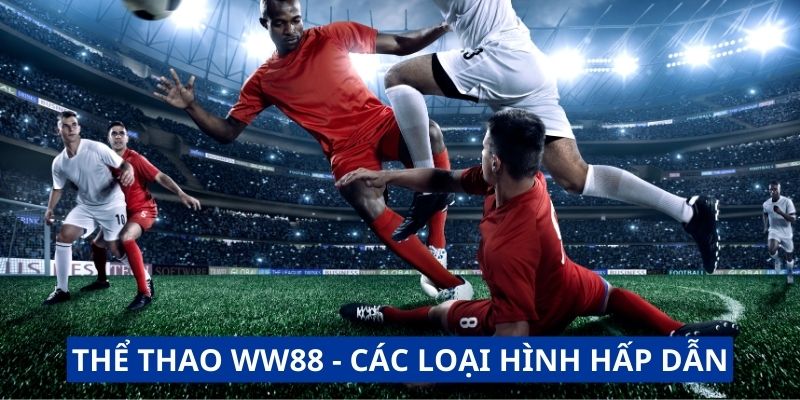 Thể thao WW88 - Các loại hình hấp dẫn